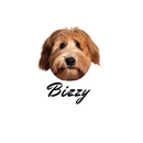 Camiseta Vintage Personalizada com Foto do Cachorro e Nome, Algodão 100% Estampa DTF Premium