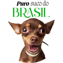Camisa Personalizável Puro Suco, 100% Algodão Para Colocar Seu Pincher, Pitbull ou Até Viralata Caramelo
