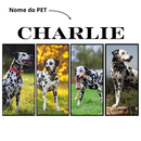 Camisa Personalizável 100% Algodão, Estilo Vintage Com 4 Fotos, Com Seu Pet