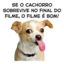 Camisa “Cachorro Sobrevive no Final” 100% Algodão e Personalizável Com Sua Foto