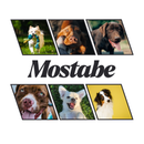 Camiseta 100% Algodão, Personalizável Com Seu Pet, Estilo Vintage