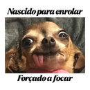 Camiseta Engraçada Personalizável Com Seu PET, 100% Algodão, Estampa em DTF