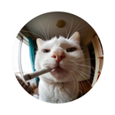 Camisa Personalizável Com Rosto do Pet, Estampa em DTF de Alta Qualidade