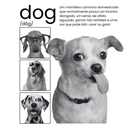 Camisa Personalizável Com Seu Pet 100% Algodão, Estilo Vintage, Retro e Aesthetic