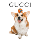 Camiseta Personalizável Vintage, Com Marca de Luxo, Com Seu Pet 100% Algodão