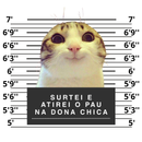 Camiseta Personalizável Com Foto do Gato, 100% Algodão e Com Estampa em DTF