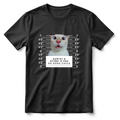 Camiseta Personalizável Com Foto do Gato, 100% Algodão e Com Estampa em DTF