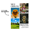 Camiseta Meu Quintal Minhas Plantas, Camisa 100% Algodão com Estampa DTF de Alta Qualidade