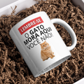 Caneca Personalizável Com Seu Gato, Frase: Lembre-se O Gato Mora Aqui Você Não