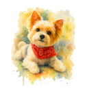 Camisa Carela Foto 100% Algodão Estampa DTF Artística