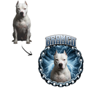 Camisa Personalizável Com Seu Pitbull, Pincher ou Qualquer Pet, 100% Algodão