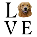 Camiseta Personalizada Pet Cachorro Foto 100% Algodão Estampa DTF