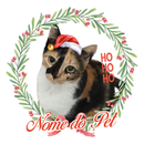 Camiseta Personalizada de Natal com Foto do Pet | 100% Algodão Premium e Estampa DTF | Presente Criativo Natalino