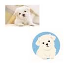 Caneca Personalizável com Seu Pet, Crie Sua Arte com o Seu Animal de Estimação